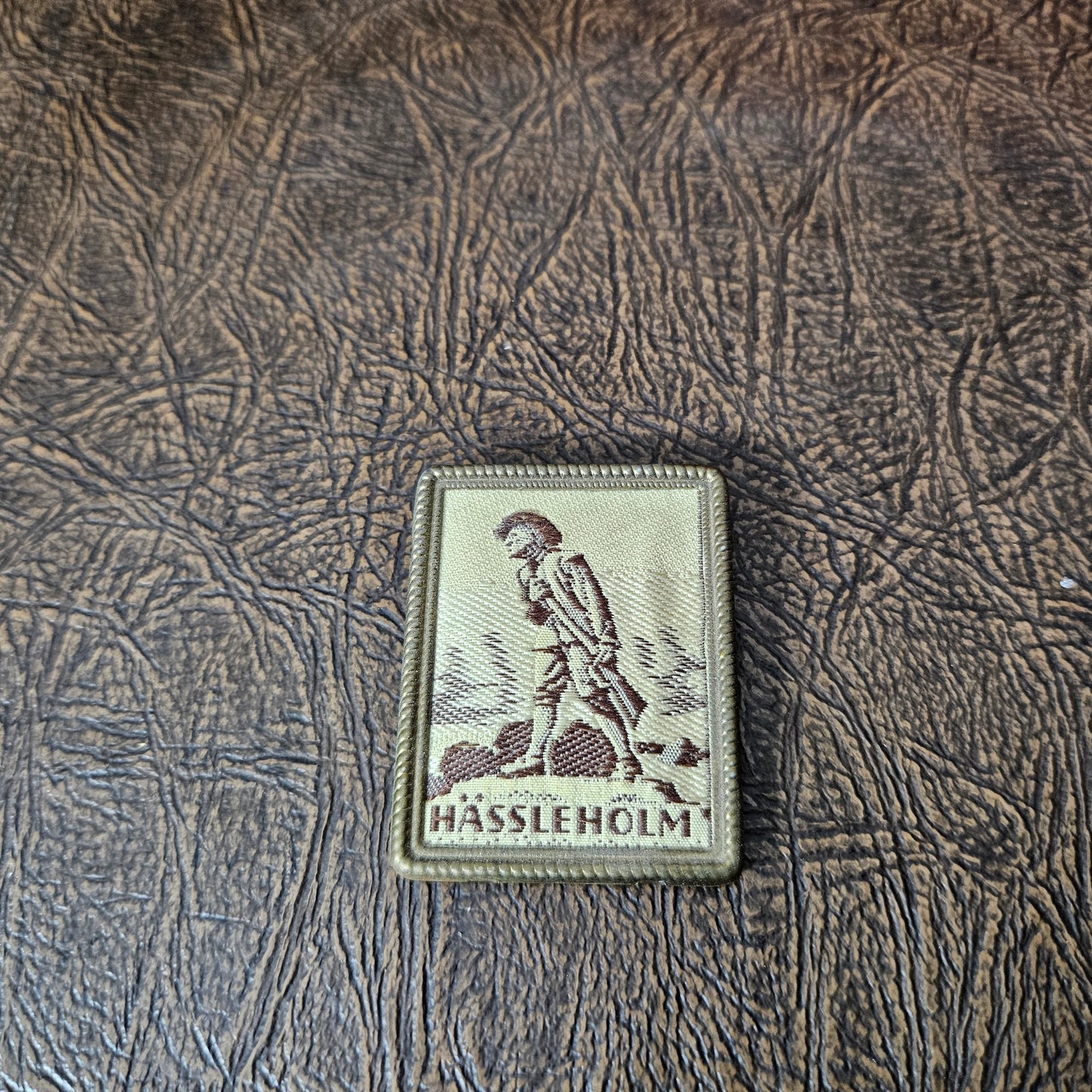 Vintage Hassleholm Embroidered Pin Scandinavian Souvenir Patch