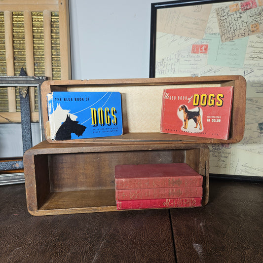 Vintage Red and Blue Book of Dogs Set 1930s Illustrated Dog Books