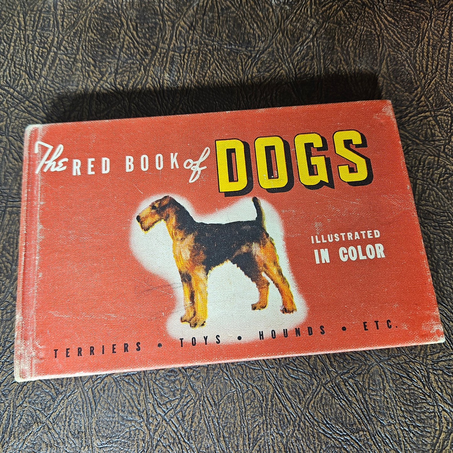 Vintage Red and Blue Book of Dogs Set 1930s Illustrated Dog Books