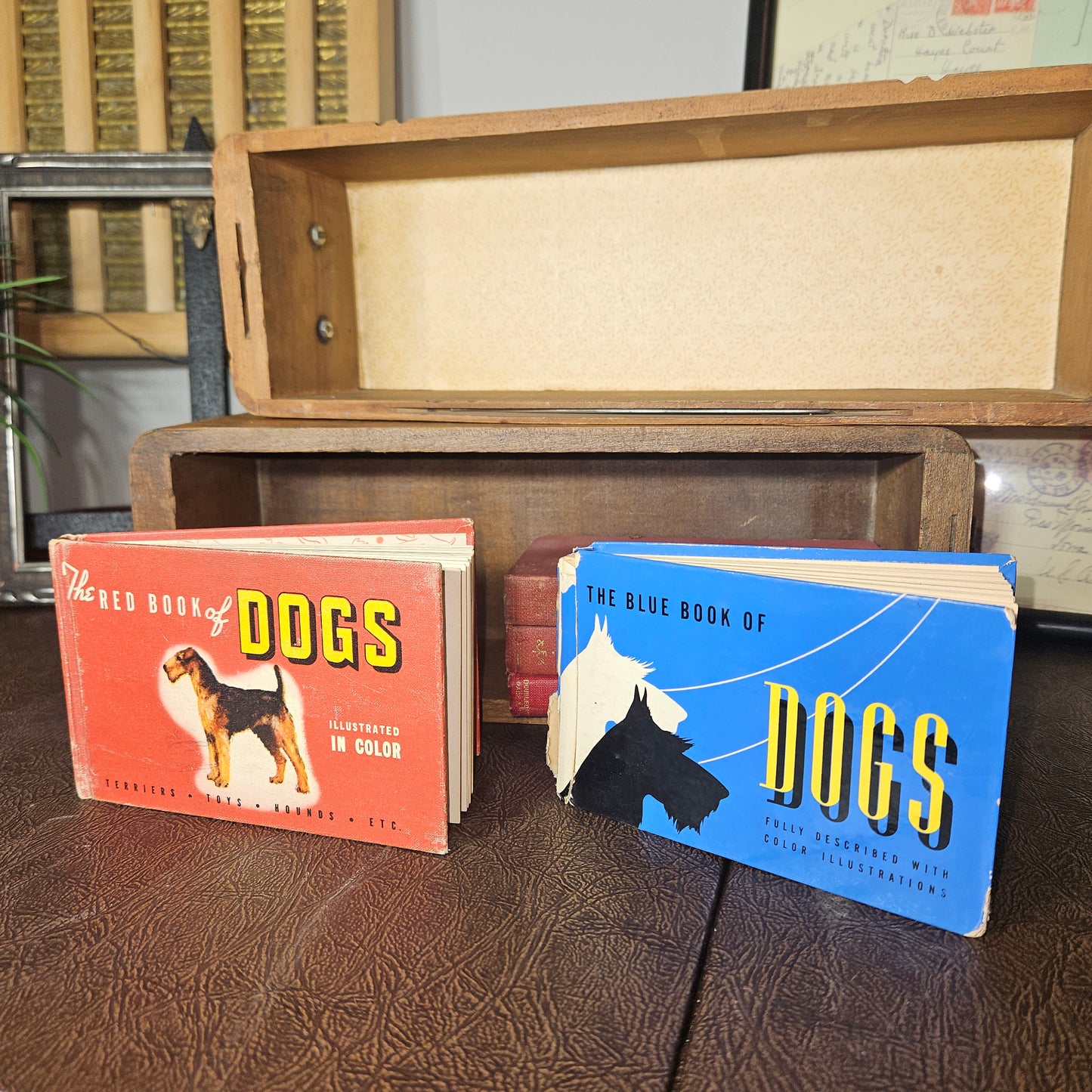Vintage Red and Blue Book of Dogs Set 1930s Illustrated Dog Books