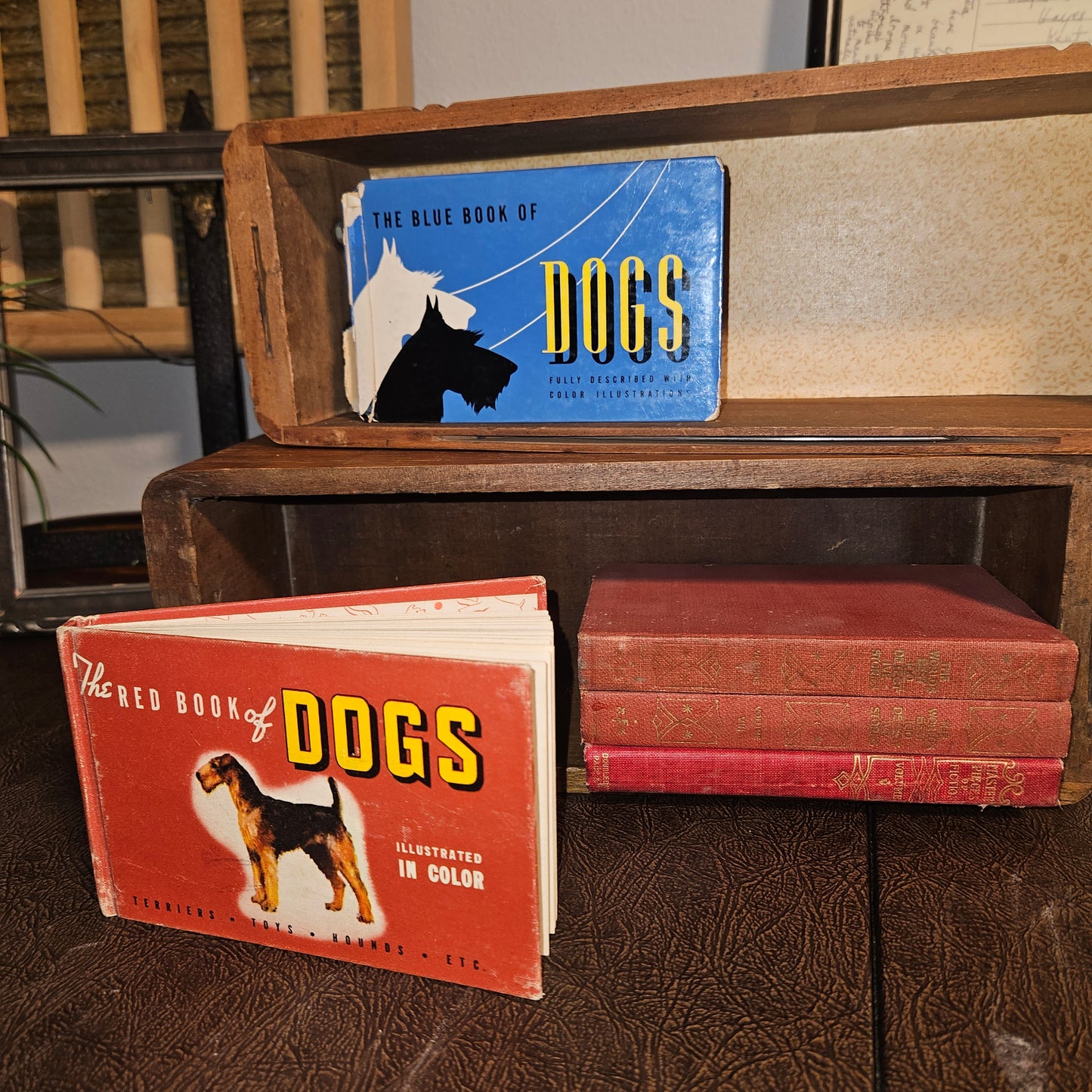 Vintage Red and Blue Book of Dogs Set 1930s Illustrated Dog Books