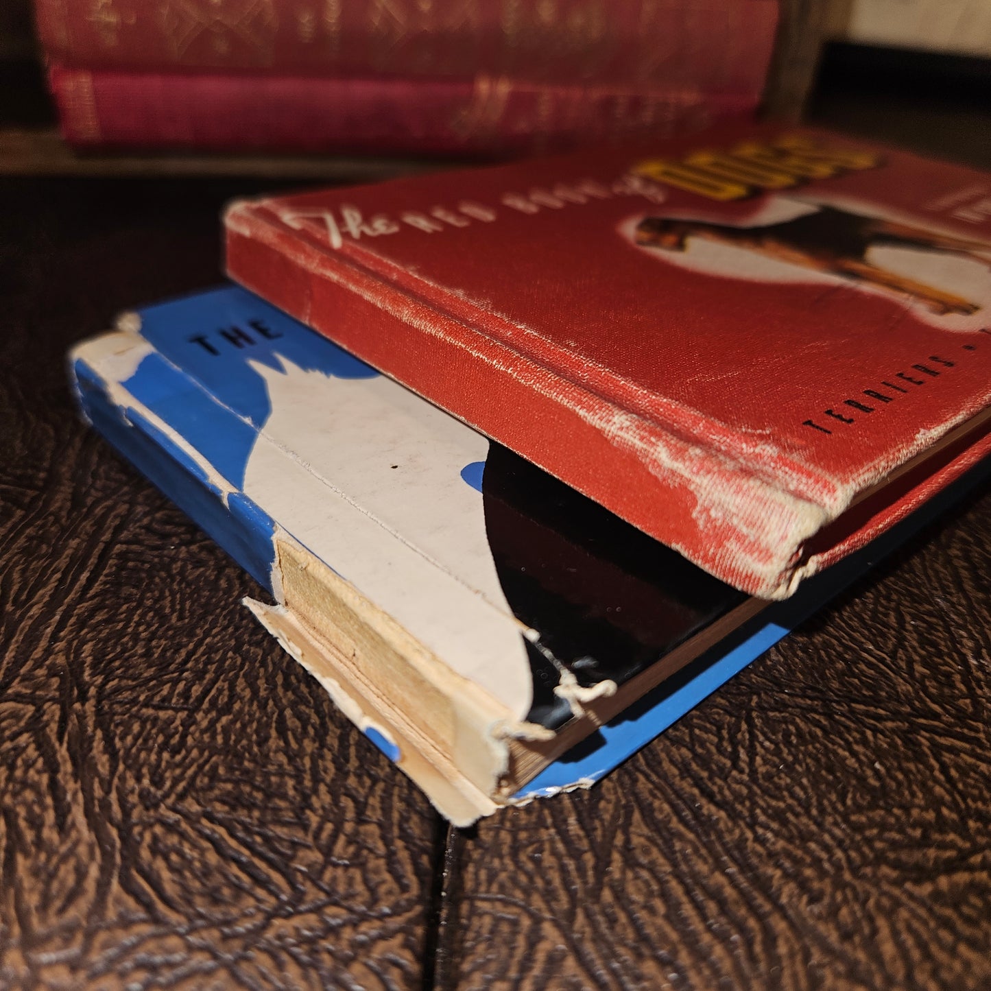 Vintage Red and Blue Book of Dogs Set 1930s Illustrated Dog Books