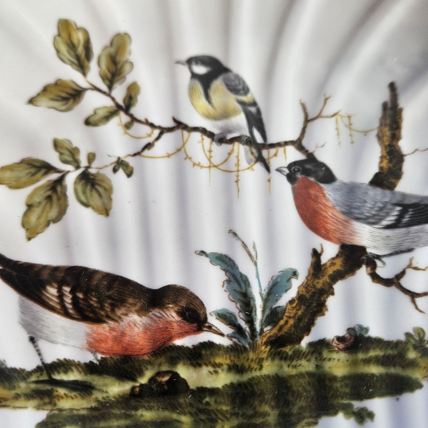 Limoges France Bird Shell Porcelain Dish