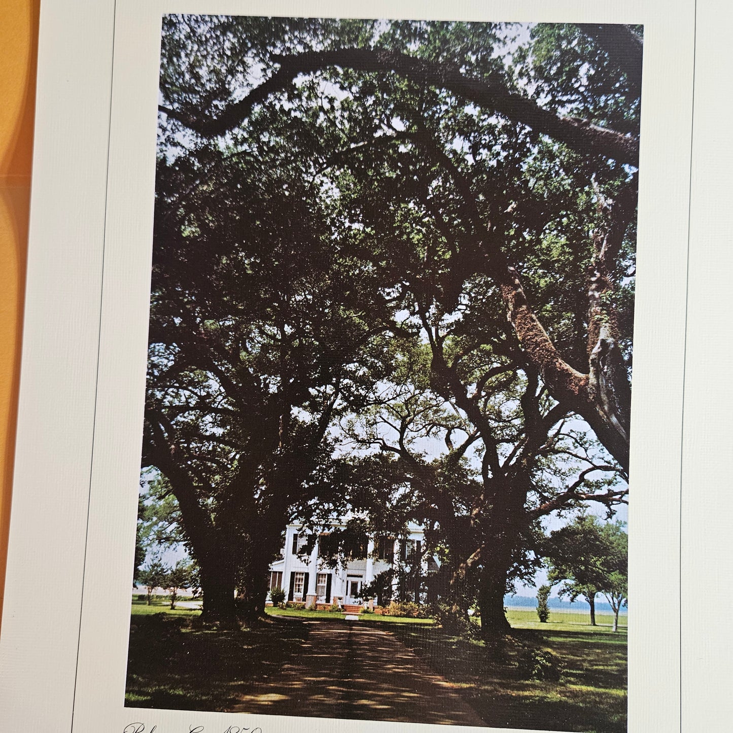 Gleason Plantation Homes Portfolio VII Prints Set