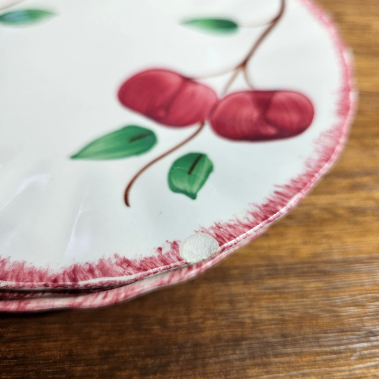 Blue Ridge Apple Dinner Plates Set of 6