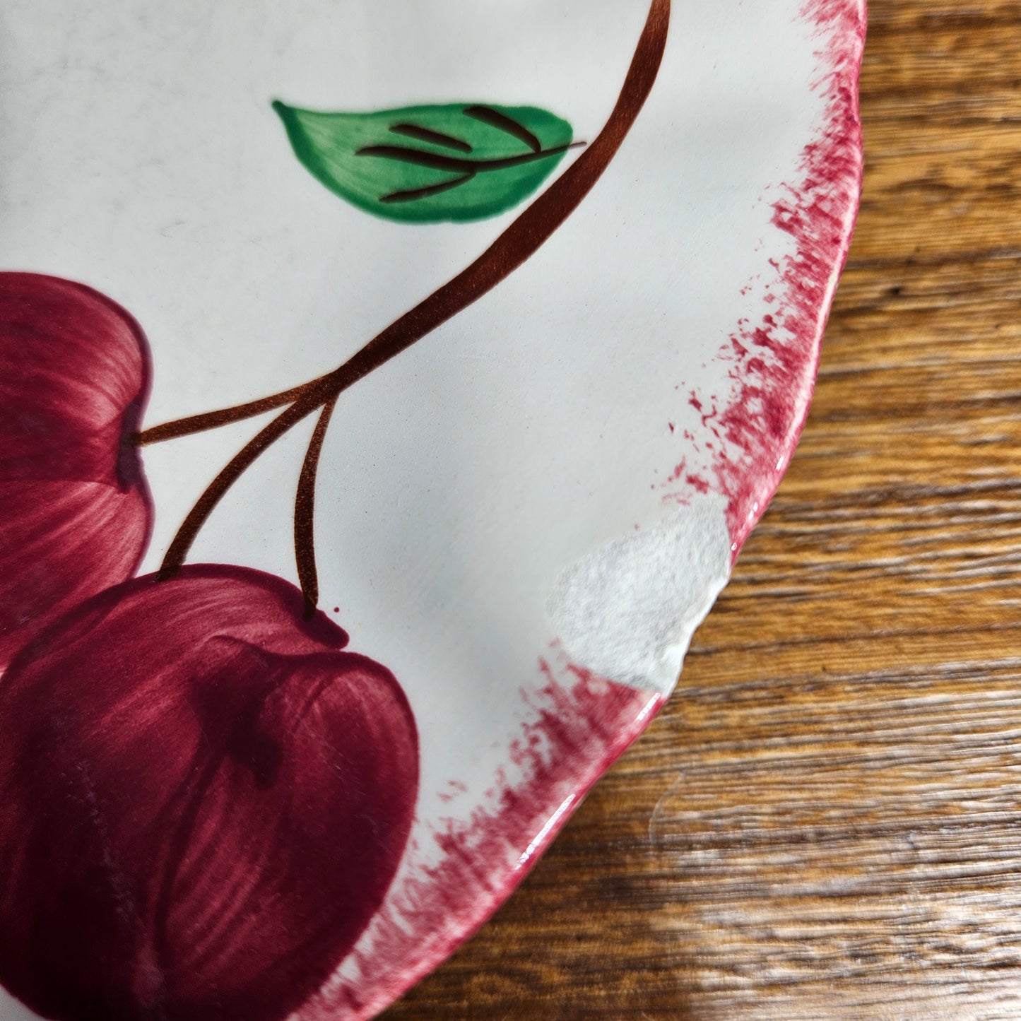 Blue Ridge Apple Dinner Plates Set of 6