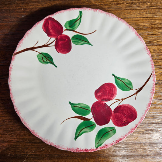 Blue Ridge Apple Dinner Plates Set of 6