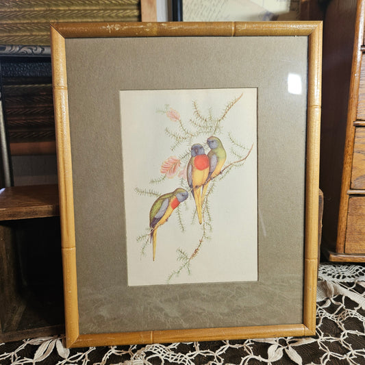 Vintage Framed Bird Print Wall Art