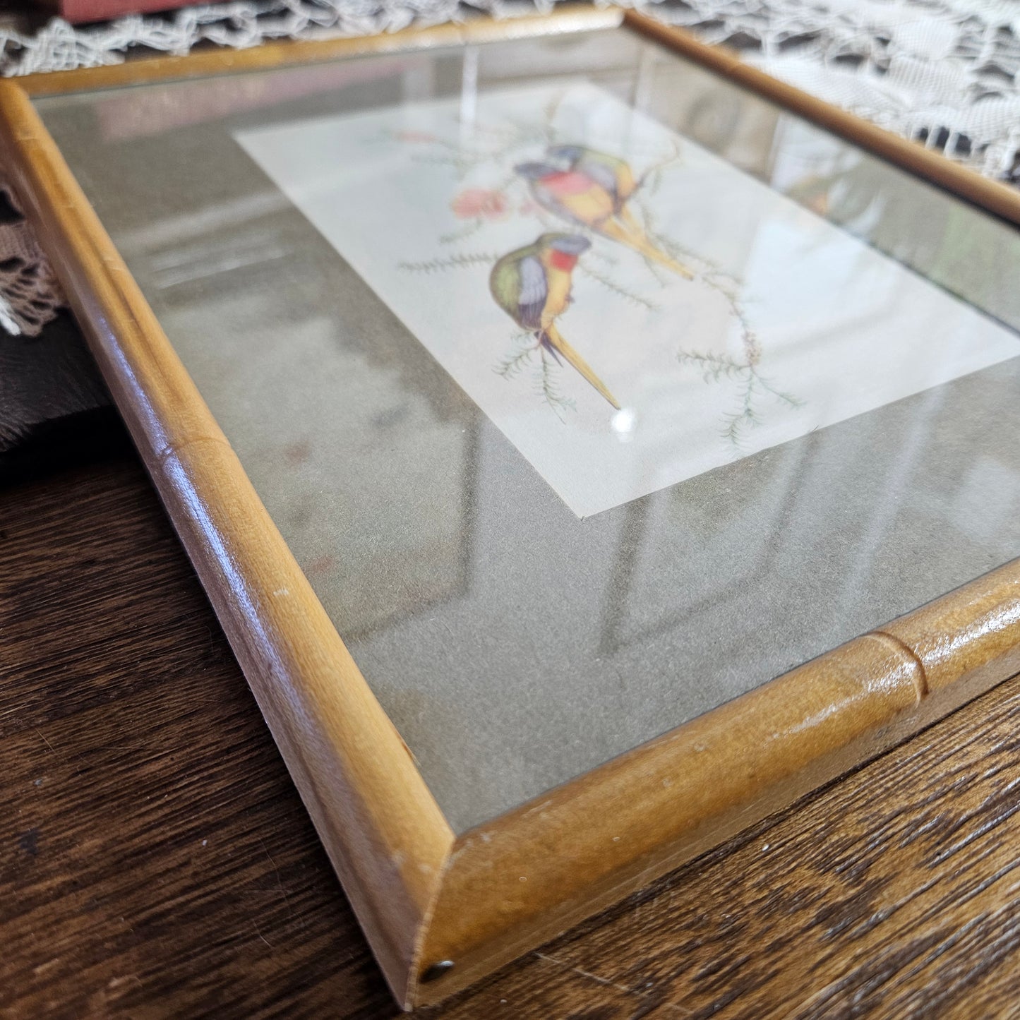 Vintage Framed Bird Print Wall Art