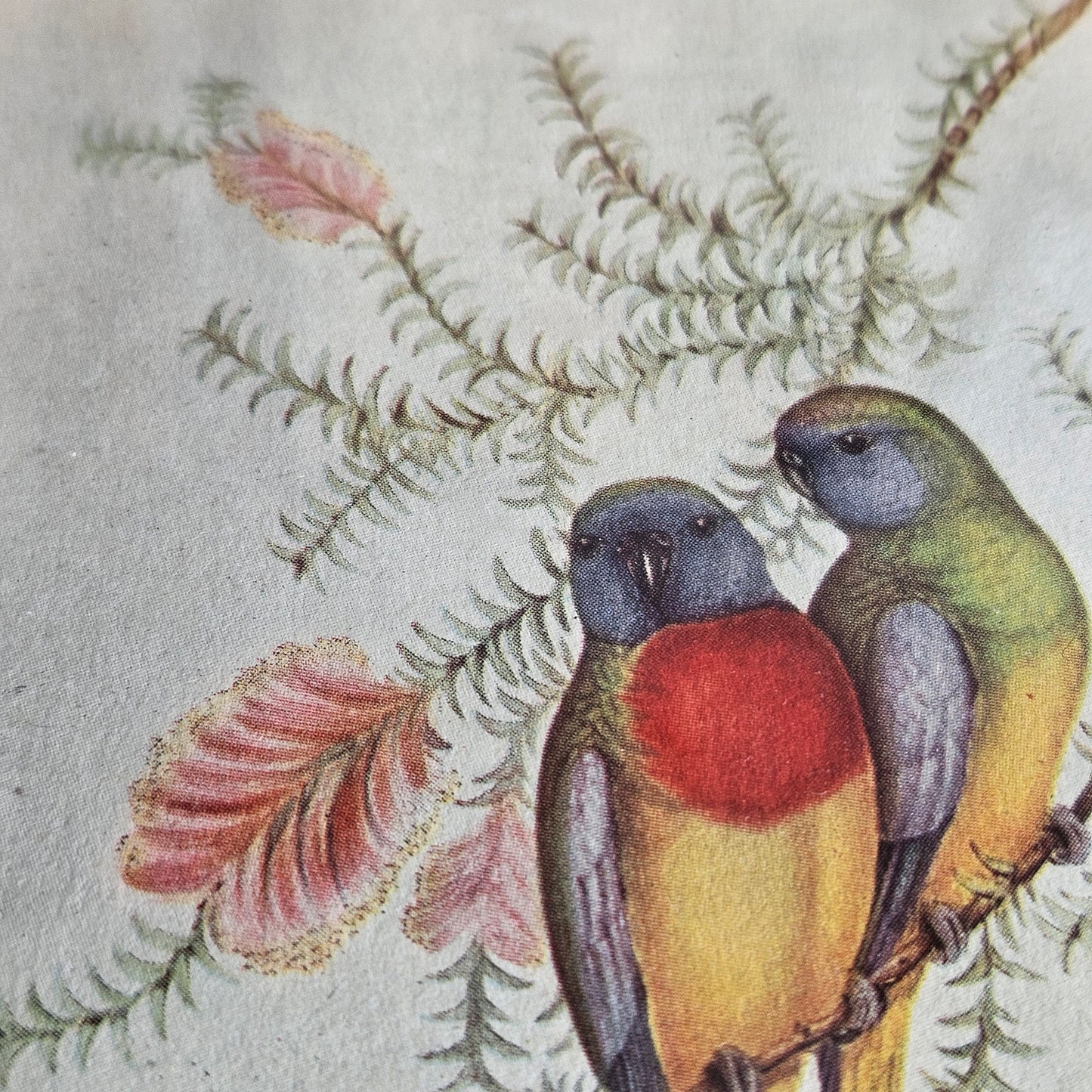 Vintage Framed Bird Print Wall Art