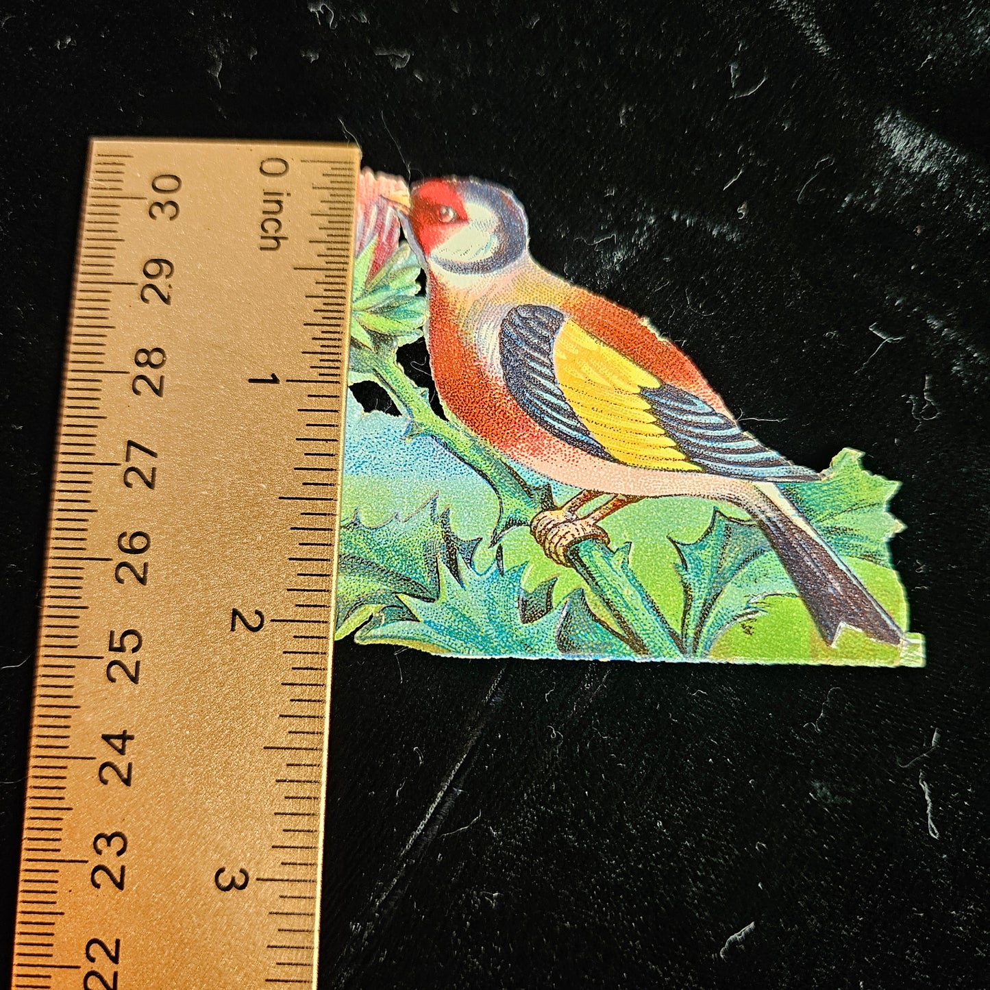 Victorian Songbird Die Cut Scrap
