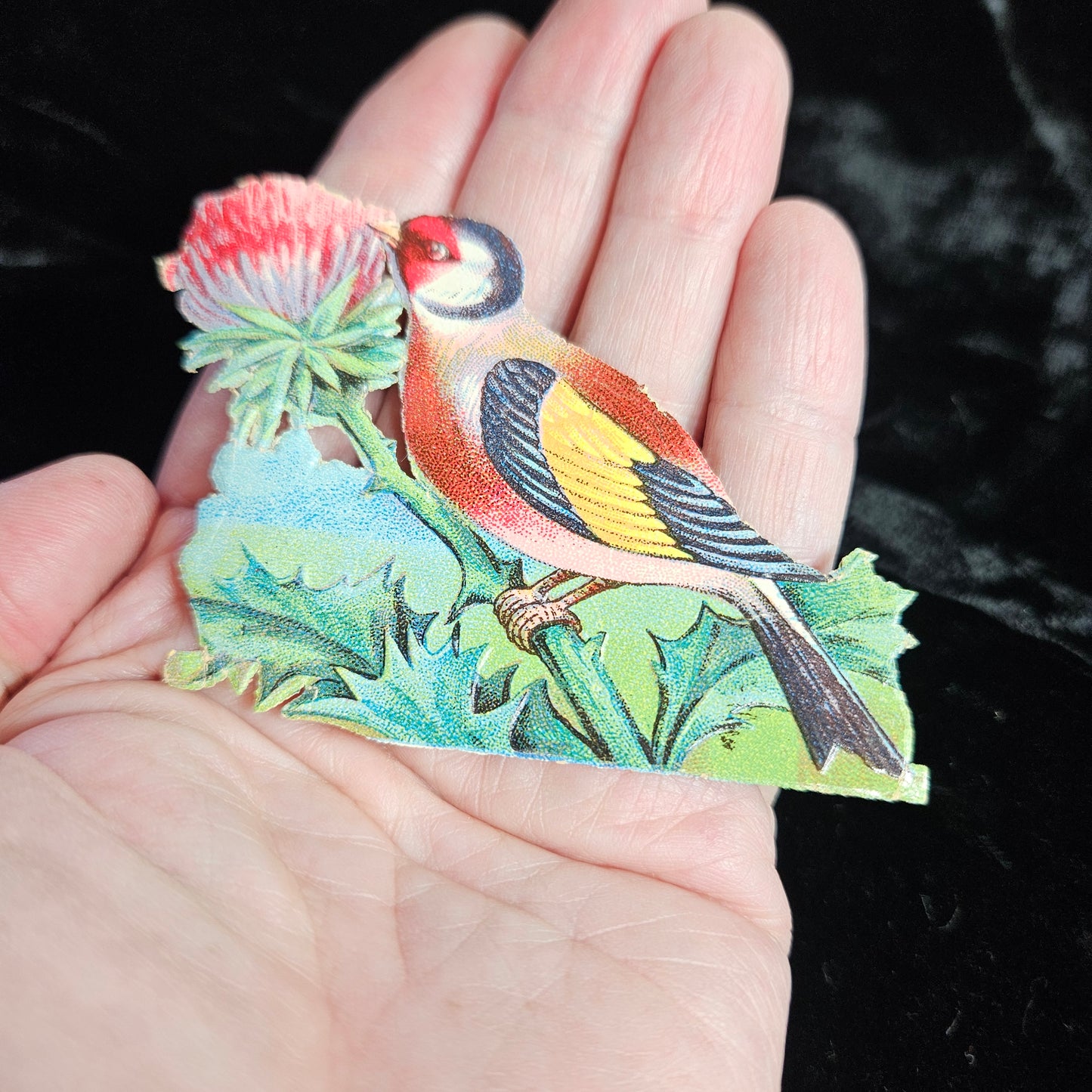 Lot of 14 Victorian Die Cut Scrap Ephemera Pieces