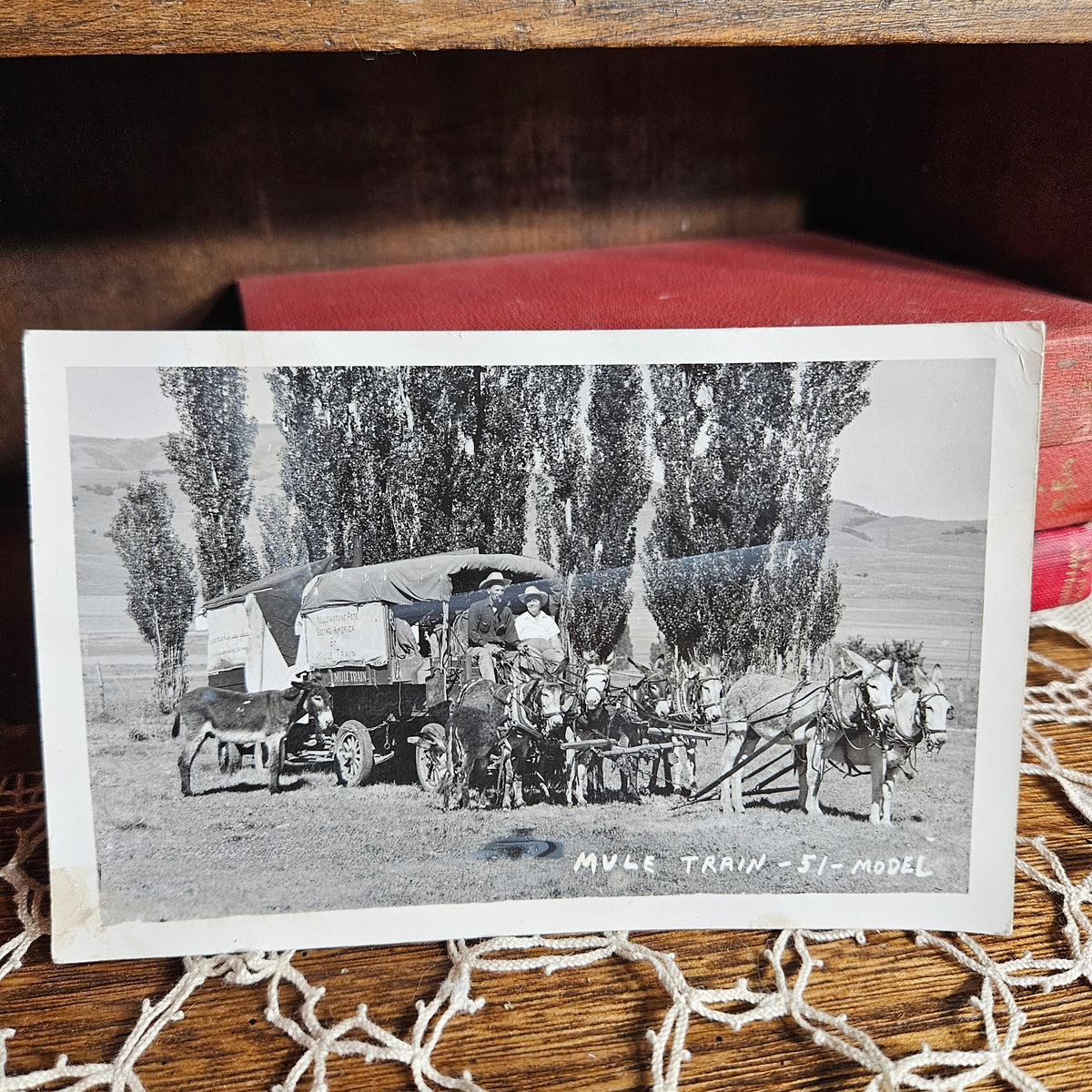 Yellowstone Pete Mule Train Group Portrait RPPC