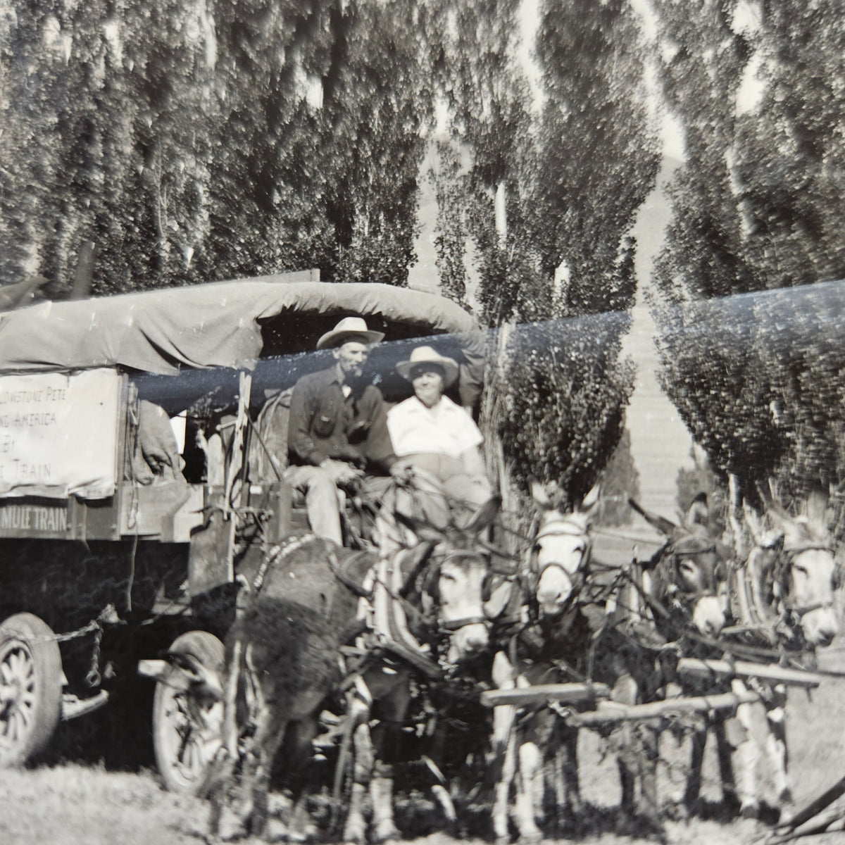 Yellowstone Pete Mule Train Group Portrait RPPC