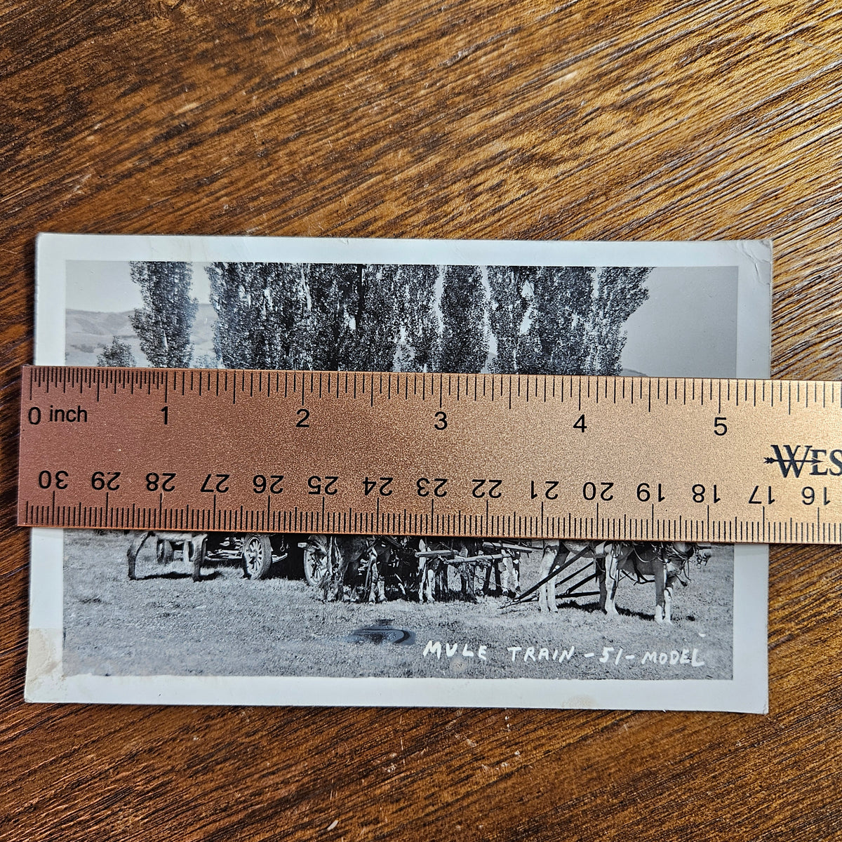 Yellowstone Pete Mule Train Group Portrait RPPC