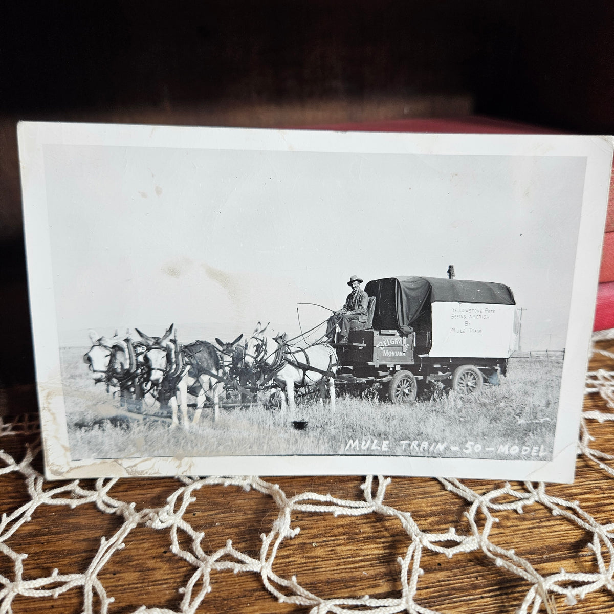 Yellowstone Pete Belgrade Montana Mule Train RPPC