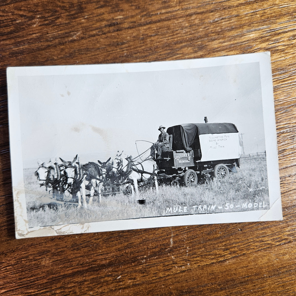 Yellowstone Pete Belgrade Montana Mule Train RPPC
