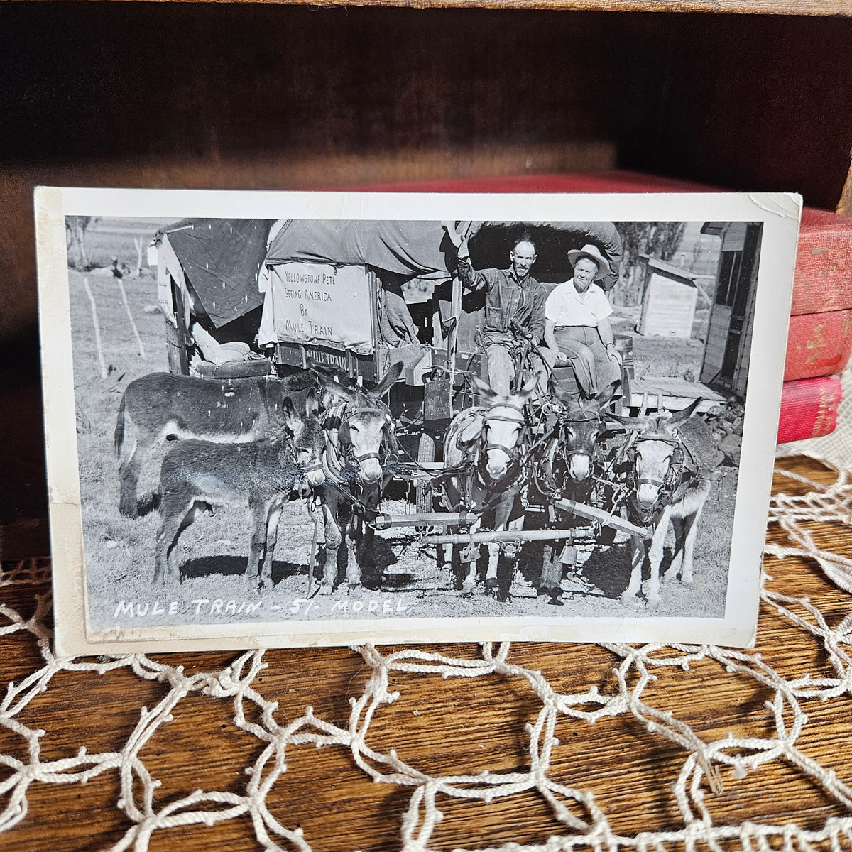 Yellowstone Pete Mule Train RPPC Portrait Scene