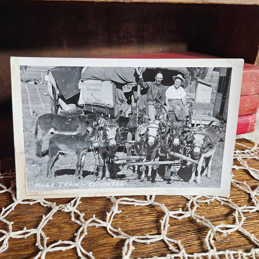 Yellowstone Pete Mule Train RPPC Portrait Scene
