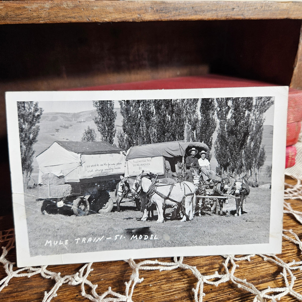 Yellowstone Pete Mule Train RPPC Wide Scene