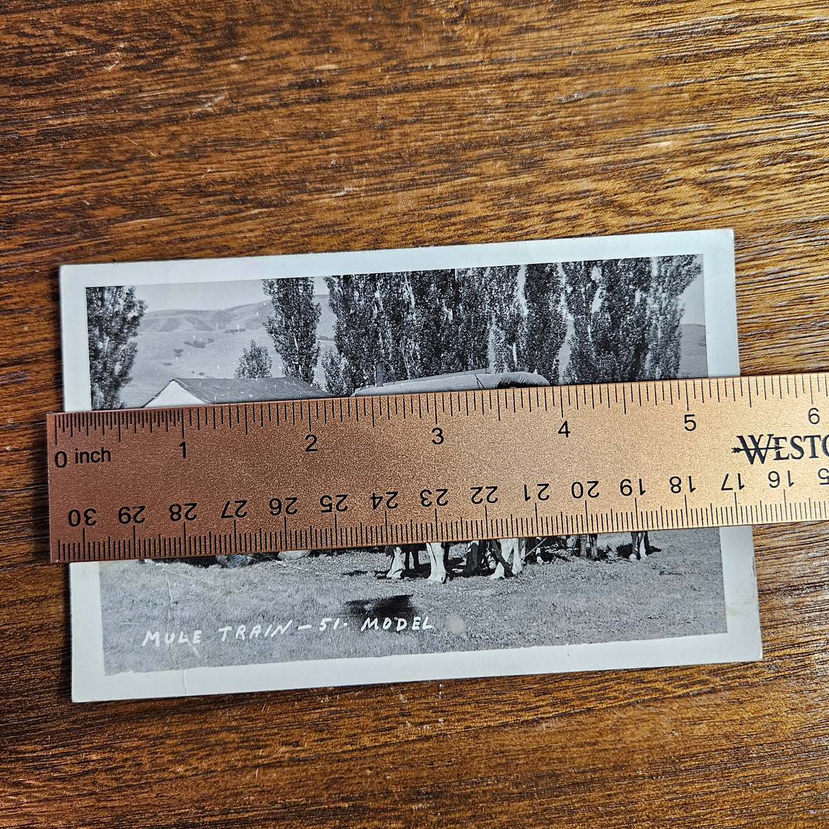 Yellowstone Pete Mule Train RPPC Wide Scene