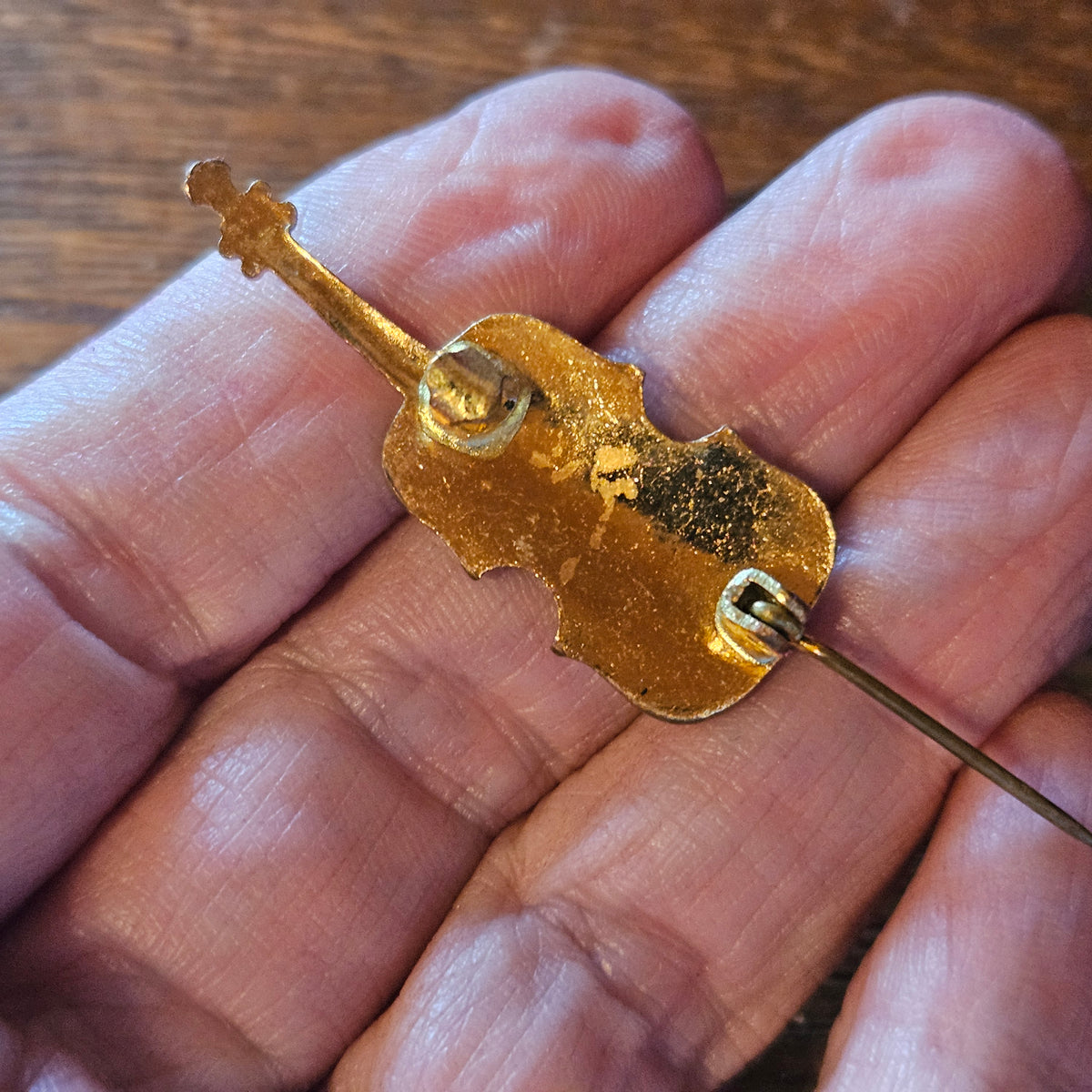 Scenic Violin Souvenir Brooch