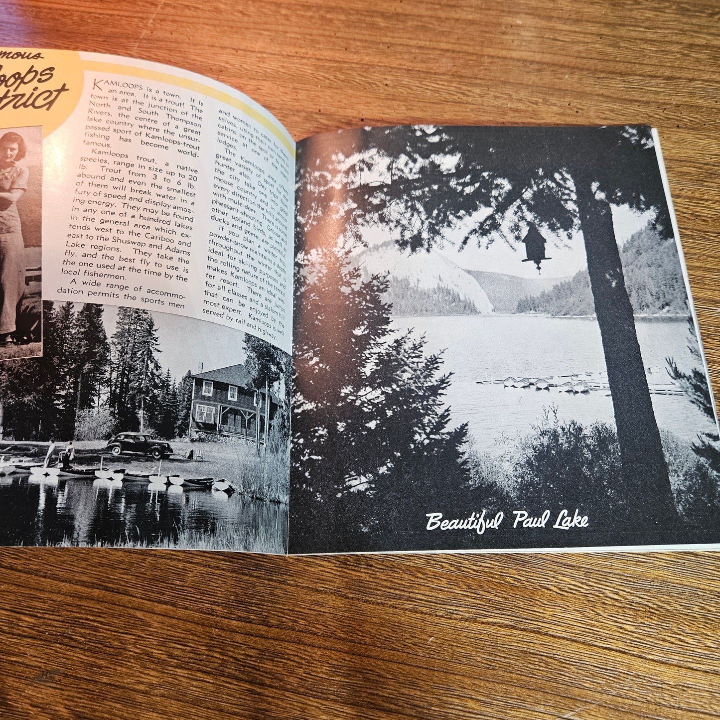 1951 Pacific Northwest Shrine Convention Souvenir Program