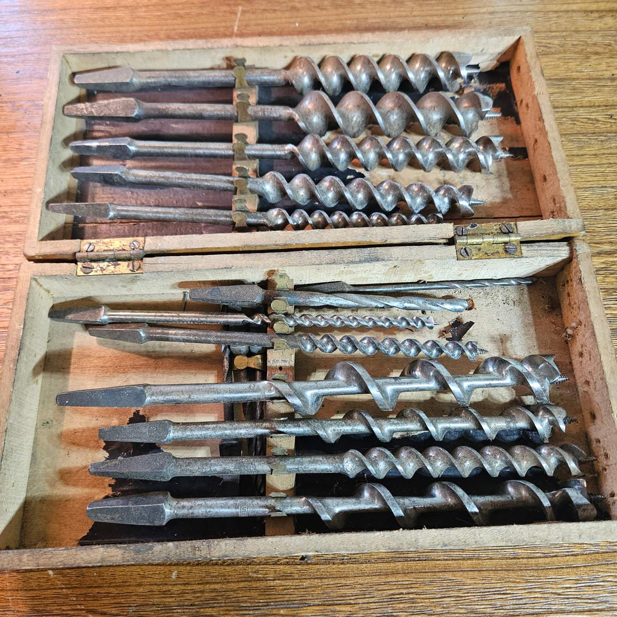Carpenter's Auger Bit Set in Wooden Case