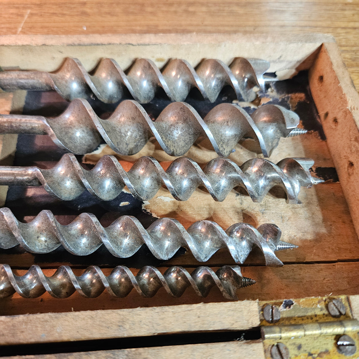 Carpenter's Auger Bit Set in Wooden Case