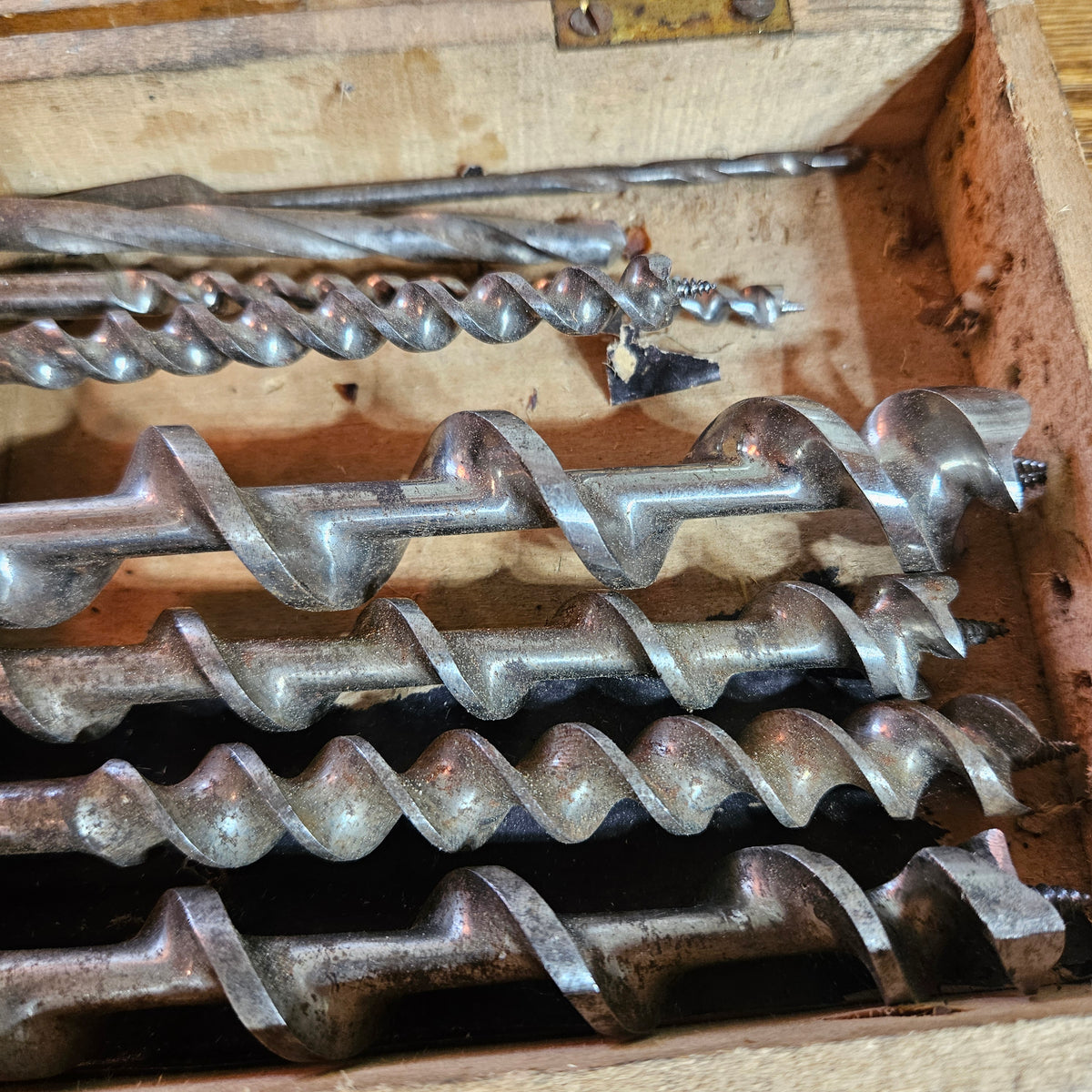 Carpenter's Auger Bit Set in Wooden Case