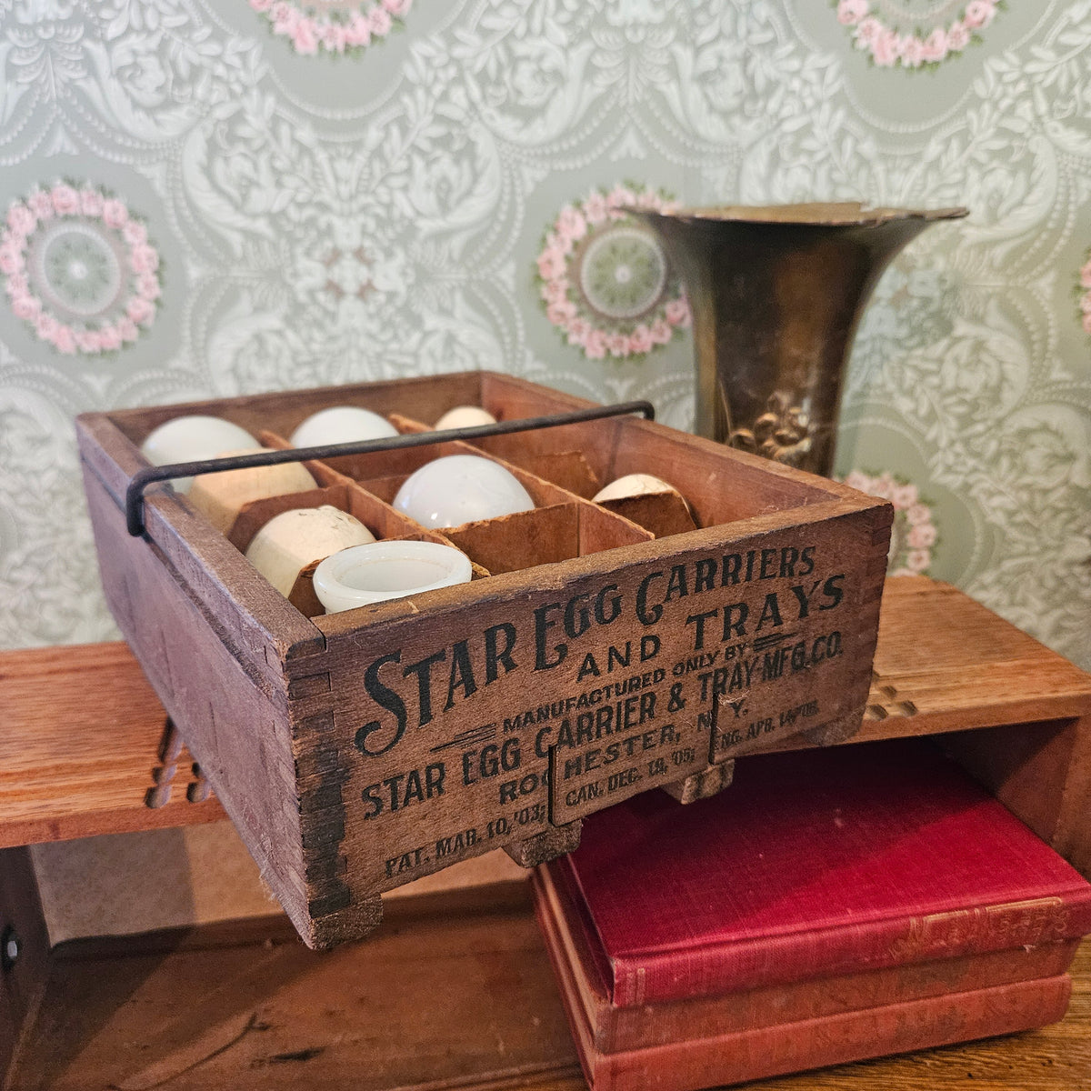 Star Egg Carrier & Tray Rochester NY with Display Eggs