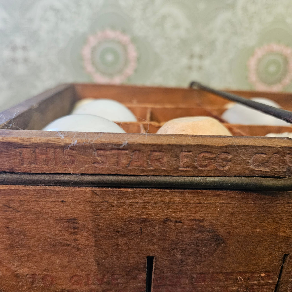 Star Egg Carrier & Tray Rochester NY with Display Eggs