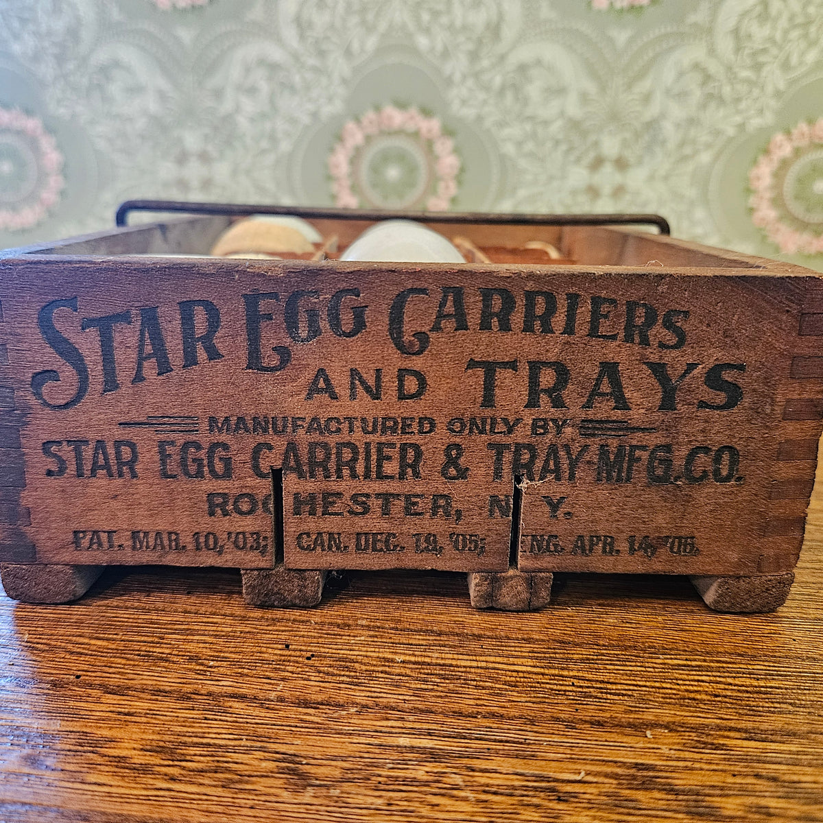Star Egg Carrier & Tray Rochester NY with Display Eggs