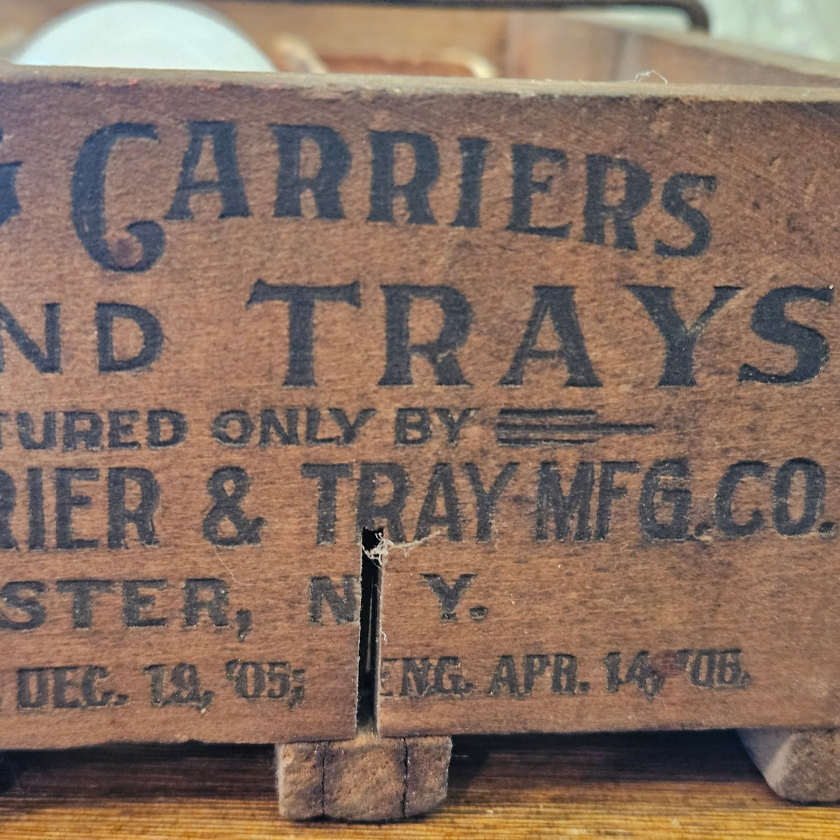 Star Egg Carrier & Tray Rochester NY with Display Eggs