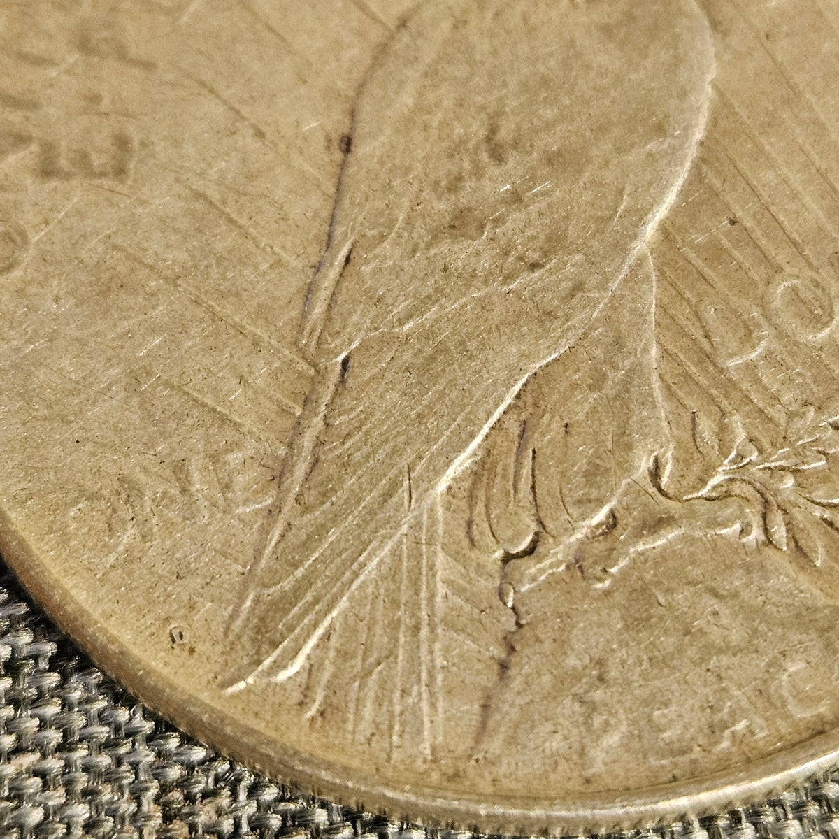1923-D Peace Silver Dollar – Denver Mint