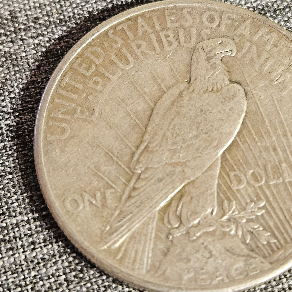 1925 Peace Silver Dollar – Philadelphia Mint