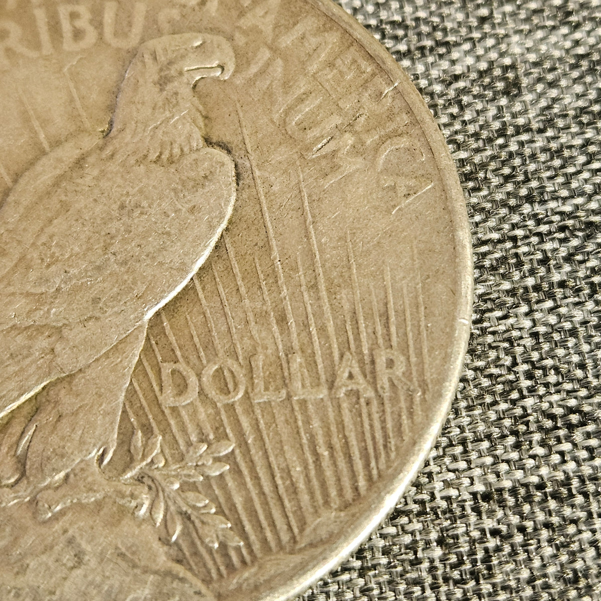 1925 Peace Silver Dollar – Philadelphia Mint