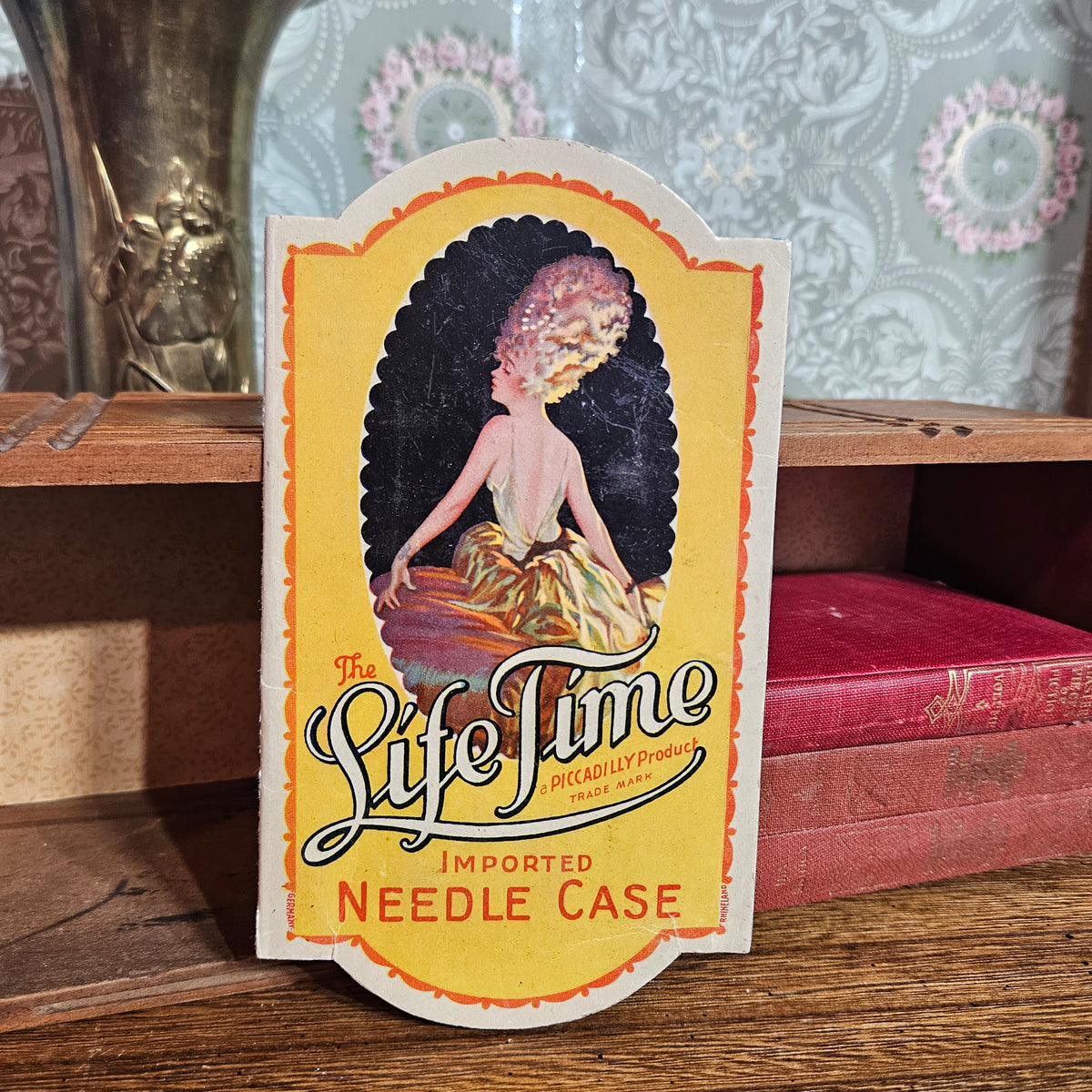 Vintage Life Time Imported Sewing Needle Case with Needles – Piccadilly