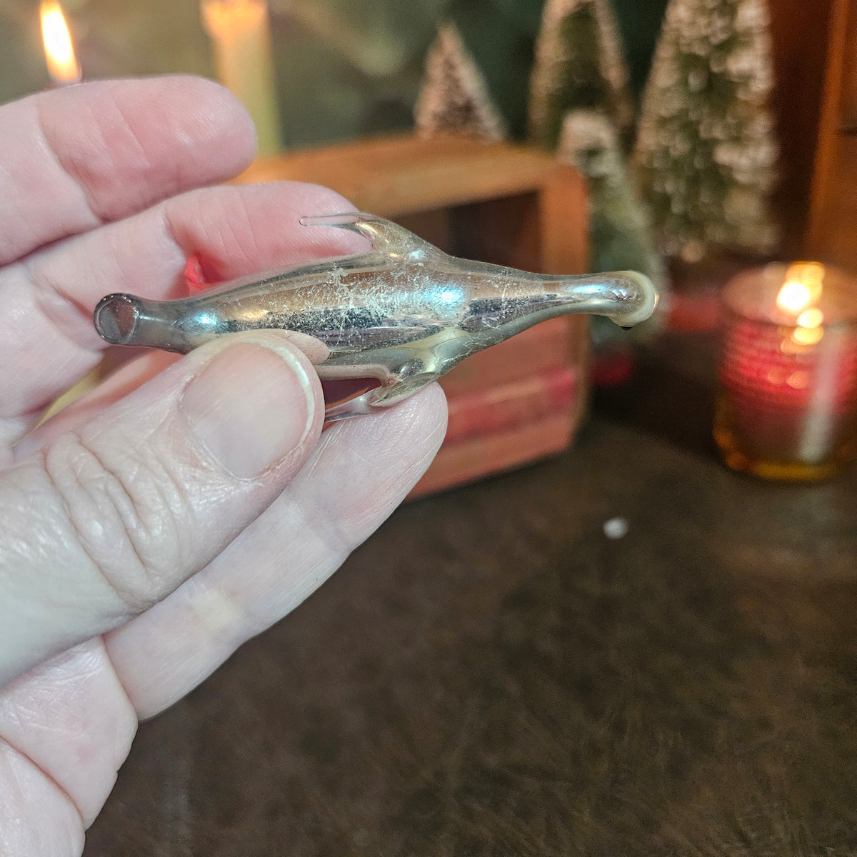 Silvered Glass Water Bird Ornament