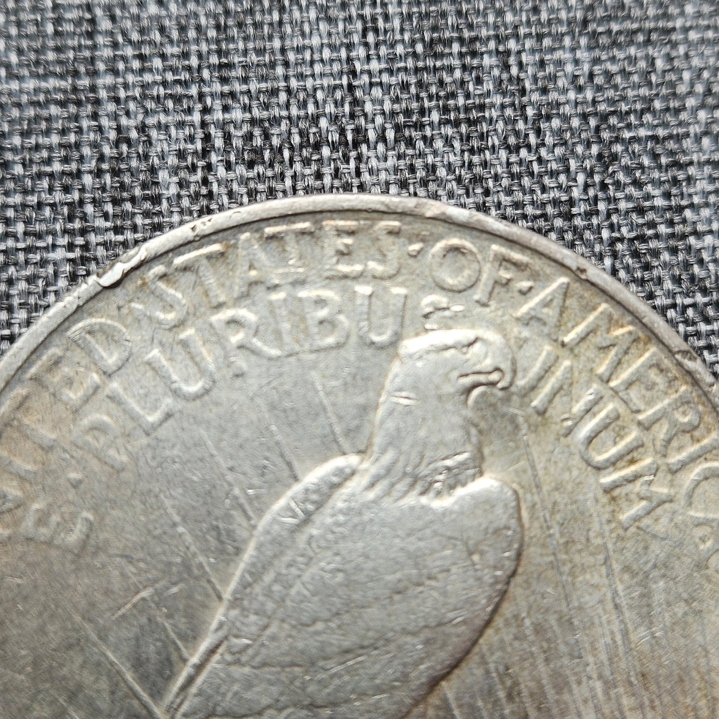 1922-D Peace Silver Dollar | Exact Coin Shown | Denver Mint