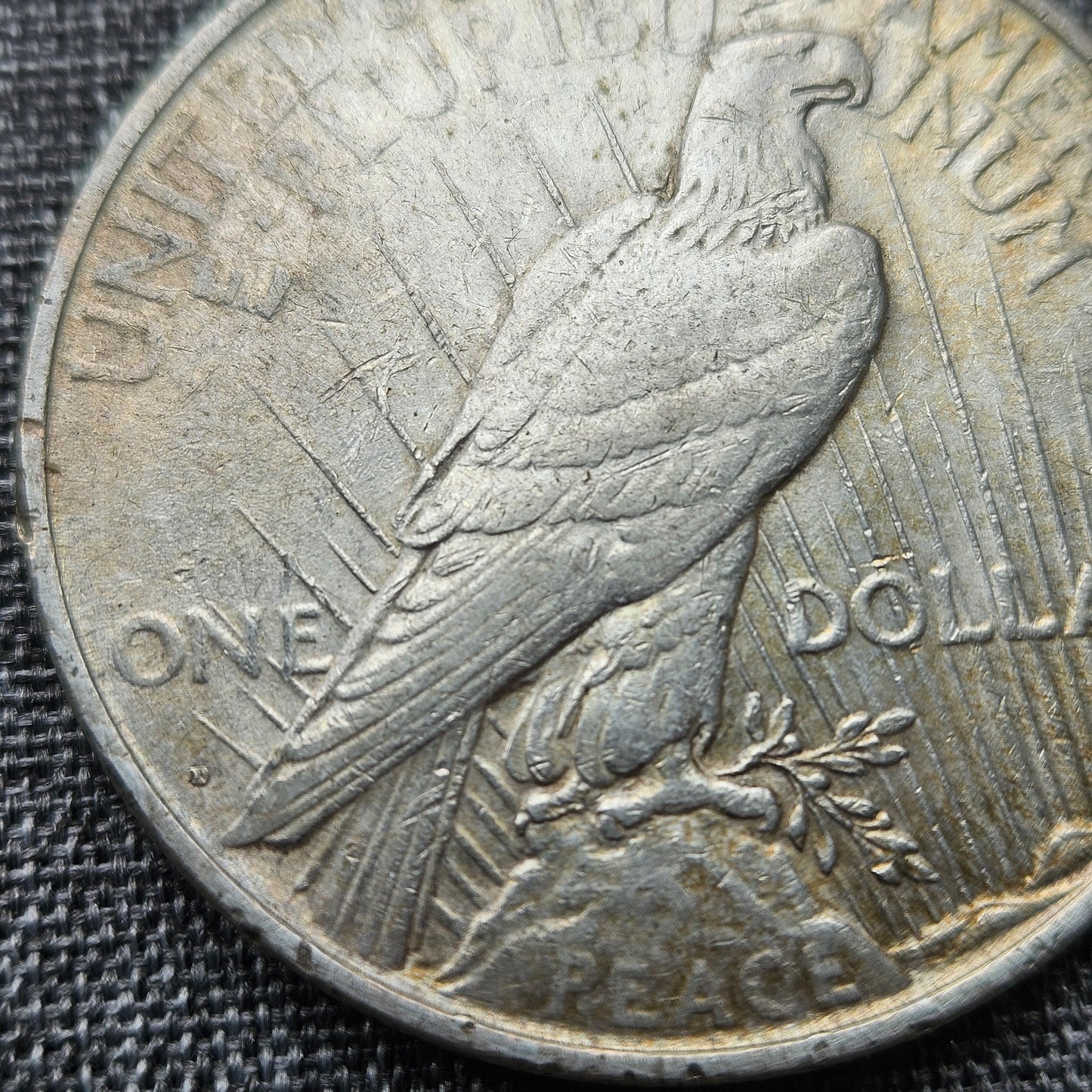 1922-D Peace Silver Dollar | Exact Coin Shown | Denver Mint