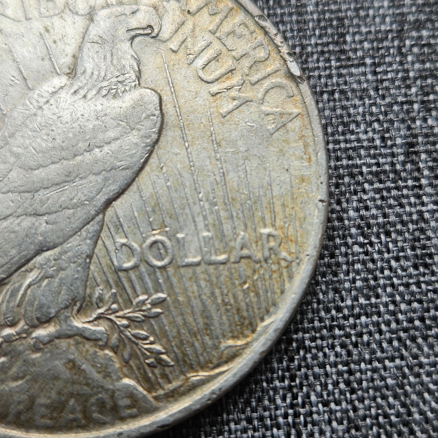 1922-D Peace Silver Dollar | Exact Coin Shown | Denver Mint